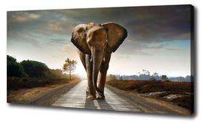 Wandbild Elefant 100 x 50 cm