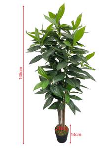 Plante Artificielle Cassia RE7041 Vert - Matière plastique - 40 x 145 x 40 cm