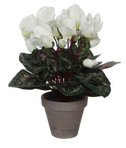 Plante artificelle Cyclamen Blanc - Pierre - Textile - 30 x 30 x 30 cm