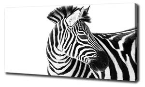 Wandbild Zebra im Schnee 140 x 70 cm