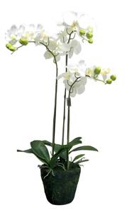 Orchidee getopft Weiß - Kunststoff - 18 x 80 x 18 cm