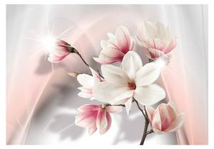 Fototapete White magnolias 350 x 245 cm