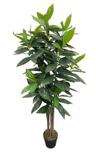 Plante Artificielle Cassia RE7041 Vert - Matière plastique - 40 x 145 x 40 cm