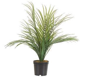 Plante artificielle ARECA PALM 7 x 45 x 7 cm