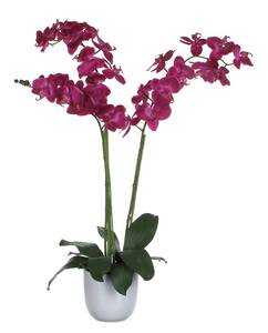 Künstliche Blume Phalaenopsis Violett - Durchmesser: 53 cm