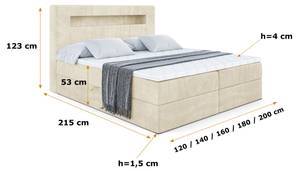 Boxspringbett  - ORGOL 2 Beige - Breite: 160 cm - H3