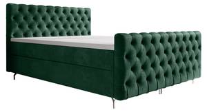 Boxspringbett CHESTER PLUS Grün - Breite: 162 cm