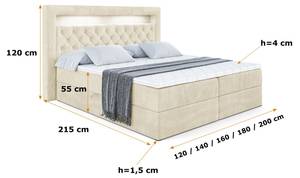 Boxspringbett - NOEL GOLD - LED Beige - Breite: 160 cm - H4