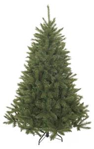 Weihnachtsbaum Bristlecone 127 x 215 x 127 cm