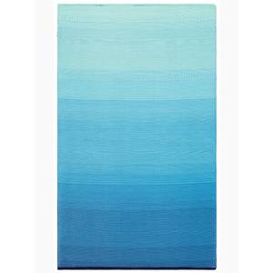 Tapis extérieur recyclé Big Sur Bleu - Matière plastique - 180 x 270 cm