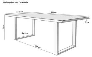 Esstisch   VALIN Braun - 300 x 120 cm - Silber