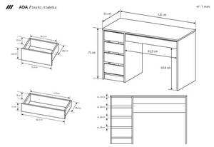 Bureau ADA D120 5D Gris - Bois manufacturé - Matière plastique - 120 x 75 x 55 cm