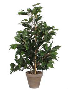 Plante artificielle Ficus 40 x 65 x 40 cm