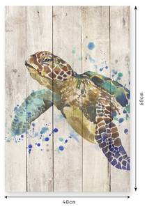 Holzpaneel Wasserschildkröte Beige - Massivholz - 40 x 60 x 40 cm