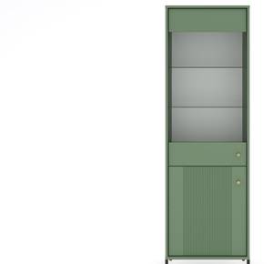 Vitrinenschrank ISEO SC54 2D Schwarz - Grün