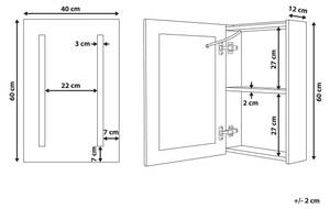 Armoire de toilette avec miroir CAMERON Noir - Argenté