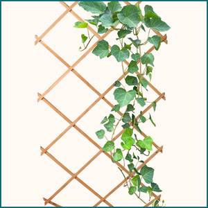 Climbing Rack Pflanzen ausziehbare Braun - Holzwerkstoff - 90 x 1 x 180 cm