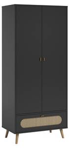 Armoire Canne Noir