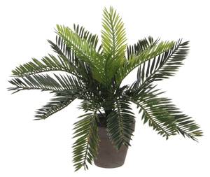 Kunstpflanze Cycas-Palme 34 x 33 x 34 cm