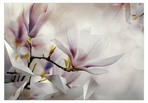 Fototapete Subtle Magnolias 392 x 280 cm