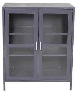 Vitrine ACERO SC80 2D Gris