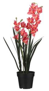 Fleur artificielle Cymbidium Rose foncé - Matière plastique