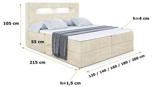 Boxspringbett - ORGOL Beige - Breite: 140 cm - H4