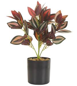 Kunstpflanze TRADESCANTIA Schwarz - Grün - Rot - Kunststoff - 10 x 35 x 10 cm