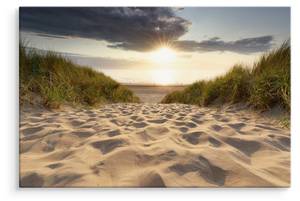 Tableaux MER Plage Dunes Nature 3D Effet 30 x 20 x 20 cm