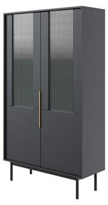 Vitrinenschrank VIVA SC104 2D Schwarz