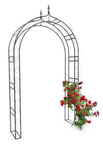 Arche à rosiers pointue tuteur plante Noir - Métal - 138 x 242 x 36 cm