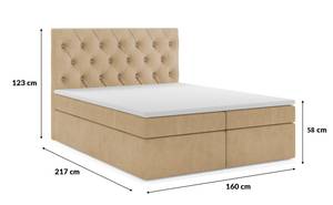 Boxsingbett BLANO 160cm CS2302 Hellbraun Beige - Holzwerkstoff - 160 x 123 x 217 cm