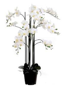 Fleur artificielle Orchidee Blanc - Matière plastique - 35 x 117 x 35 cm