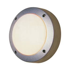 Faretto LED esterni da soffitto/Parete 15 cm 1 luce Grigio Alluminio