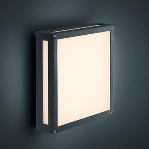 Illuminazione da esterni LED Newa 1 luce - Alluminio/Materiale sintetico - Color argento