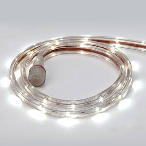 Corda LED Darius bianco caldo Bianco - Vetro - Metallo - Larghezza: 100 cm