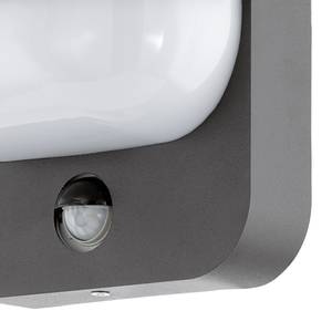 Applique extérieure Trabada II Matériau synthétique / Aluminium - 1 ampoule - Blanc / Noir - Blanc / Noir