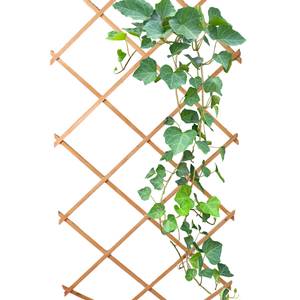 Climbing Rack Pflanzen ausziehbare Braun - Holzwerkstoff - 90 x 1 x 180 cm