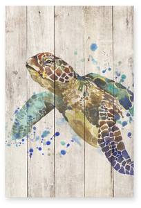 Holzpaneel Wasserschildkröte Beige - Massivholz - 40 x 60 x 40 cm