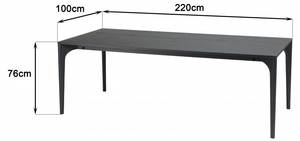 Esstisch MADISON Schwarz - Holz teilmassiv - 100 x 76 x 220 cm