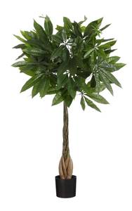 Kunstpflanze Pachira Grün - Kunststoff - 60 x 80 x 60 cm