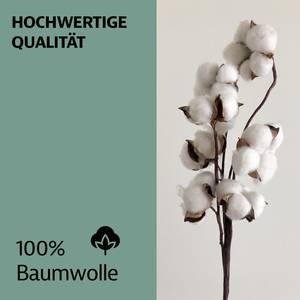 Topper Jersey Spannbettlaken Baumwolle Braun - Textil - 200-180 x 10-15 x 200 cm
