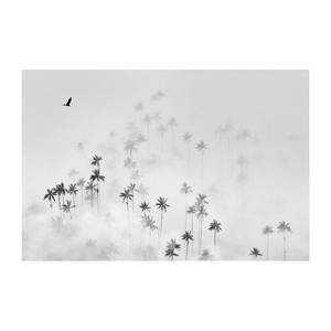 Impression dart Cocora Valley Alu-Dibond - Noir / Blanc