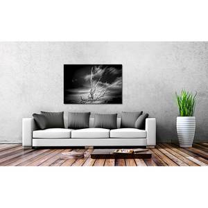 Afbeelding Dry Tree canvas - zwart/wit