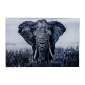 Bild Massai Mara V Kunststoff - Schwarz / Weiß