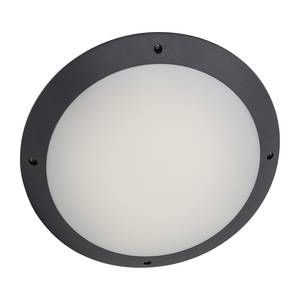 Luminaire d'extérieur LED Medway Matière synthétique - 1 ampoule - Anthracite