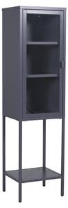 Vitrinenschrank MISHA SC41 1D Grau