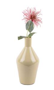 Vase Ivy Bottle Cone Marron