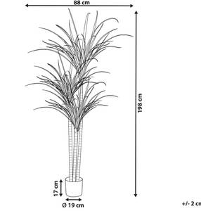 Kunstpflanze DRACAENA ANITA 88 x 198 x 88 cm