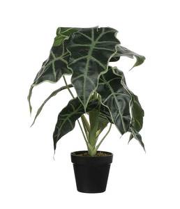 Plante artificielle Alocasia Vert - Matière plastique - 30 x 50 x 30 cm